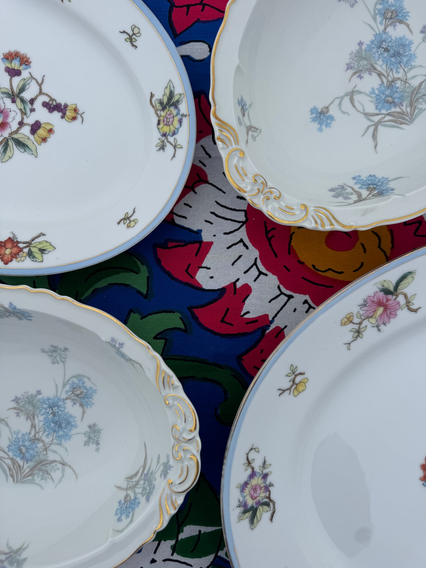 Seashells and Side Dishes